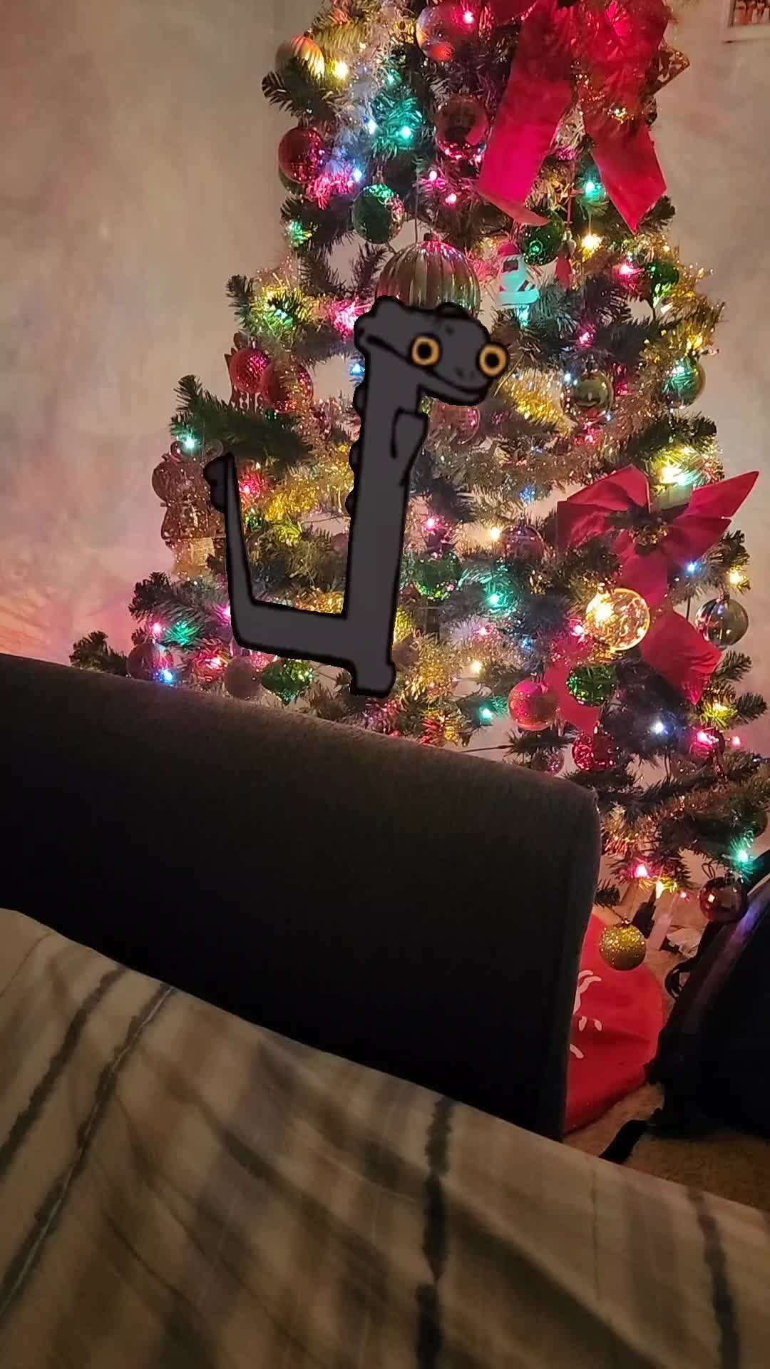 @dude_on_tiktok