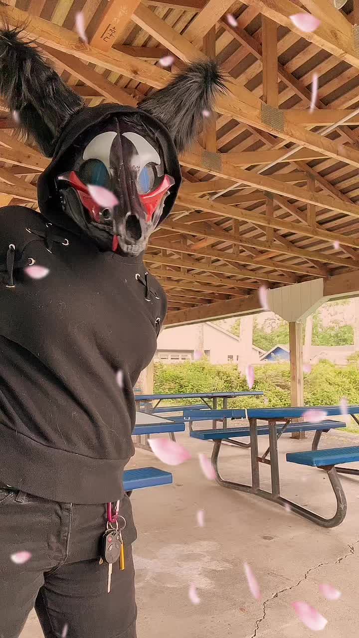 @MidnightTheWolf