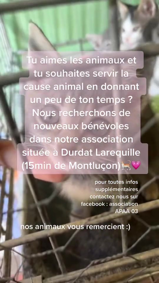 @association_apaa03