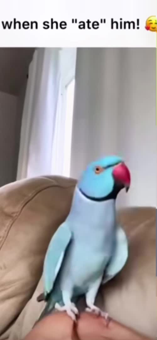 @👑♢ ᵉNן𝓞𝓨 𝓨OǗ𝓡 𝔰Ŧ卂y 🐤