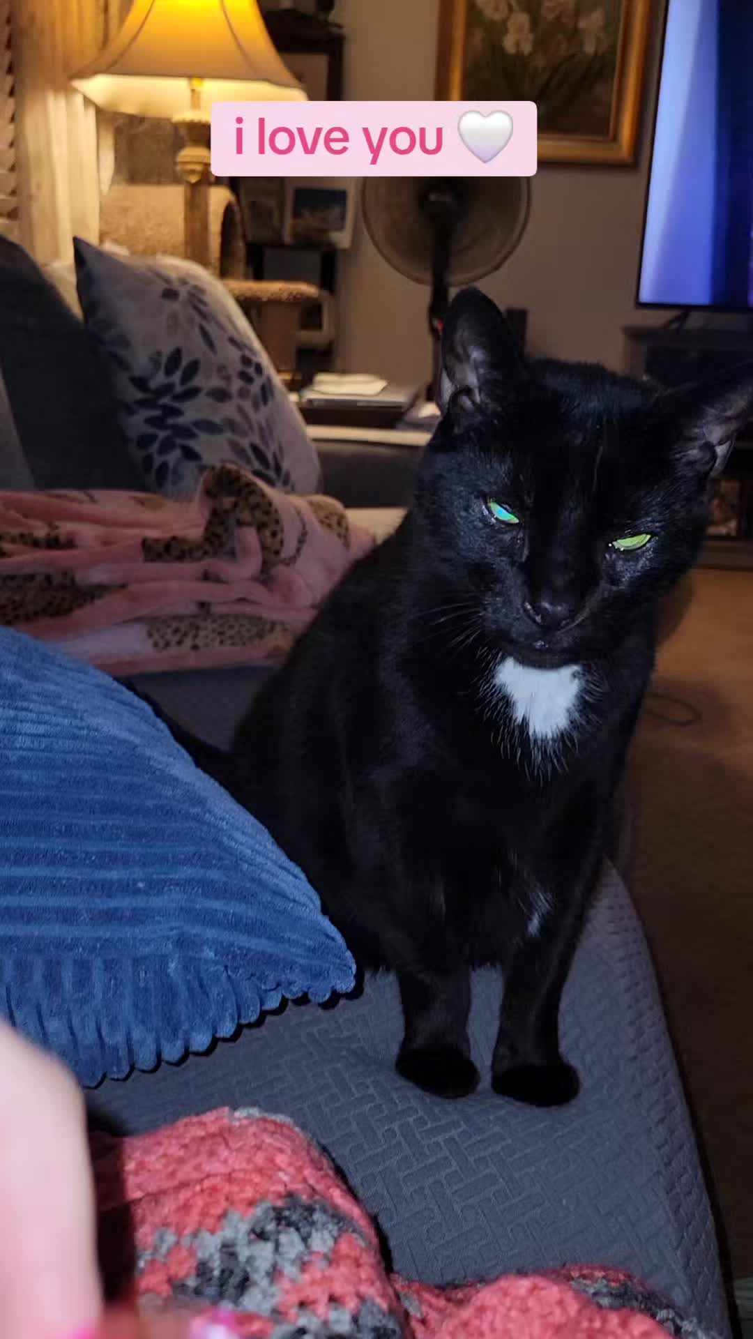 @🧚🏼&zwj;♀️👑♓️
