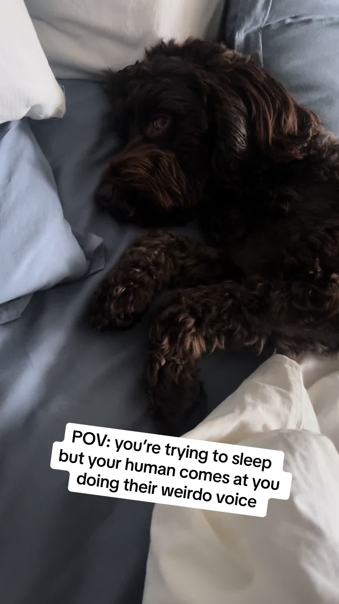 @Otis&Katie