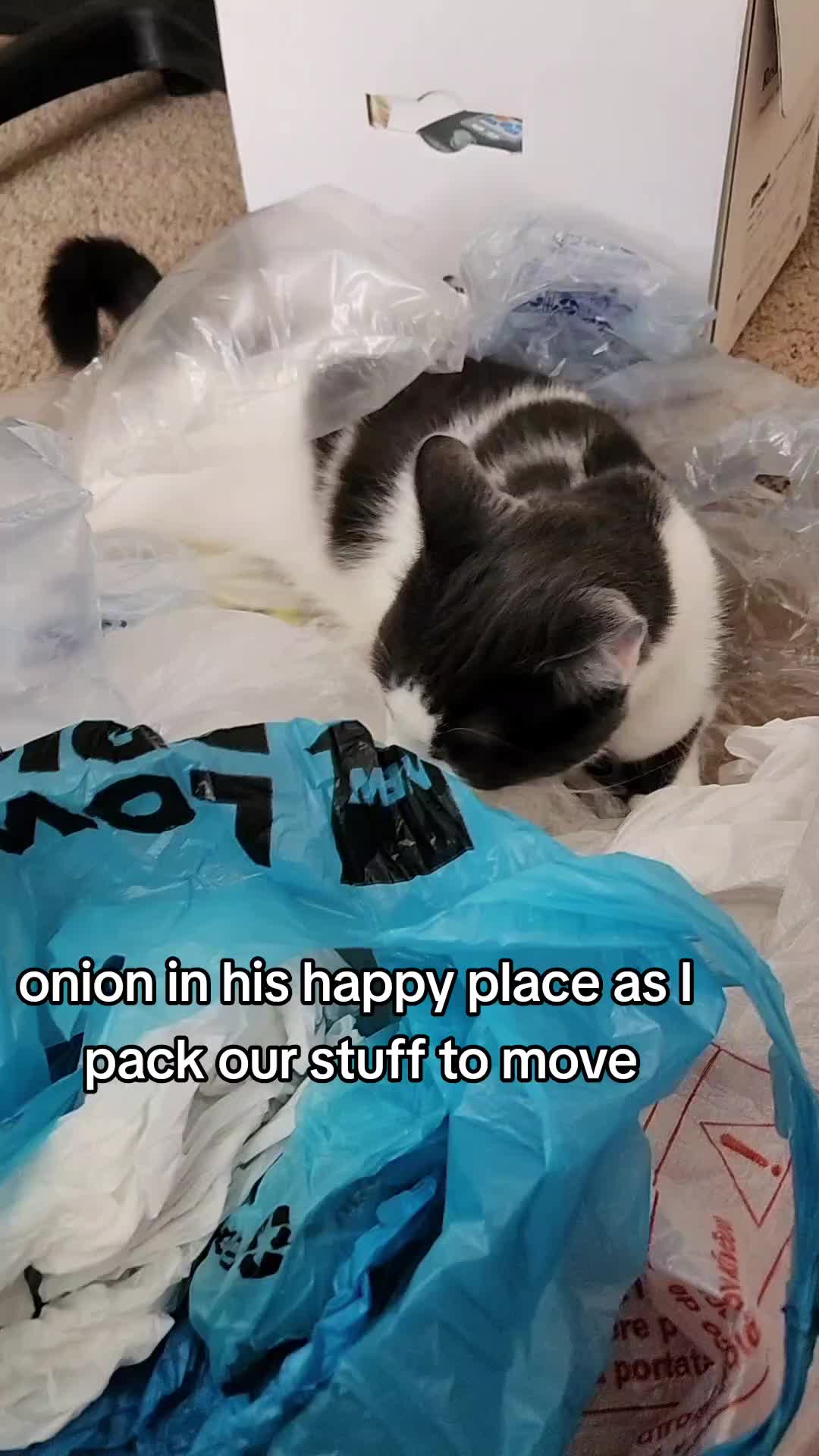 @Onion!