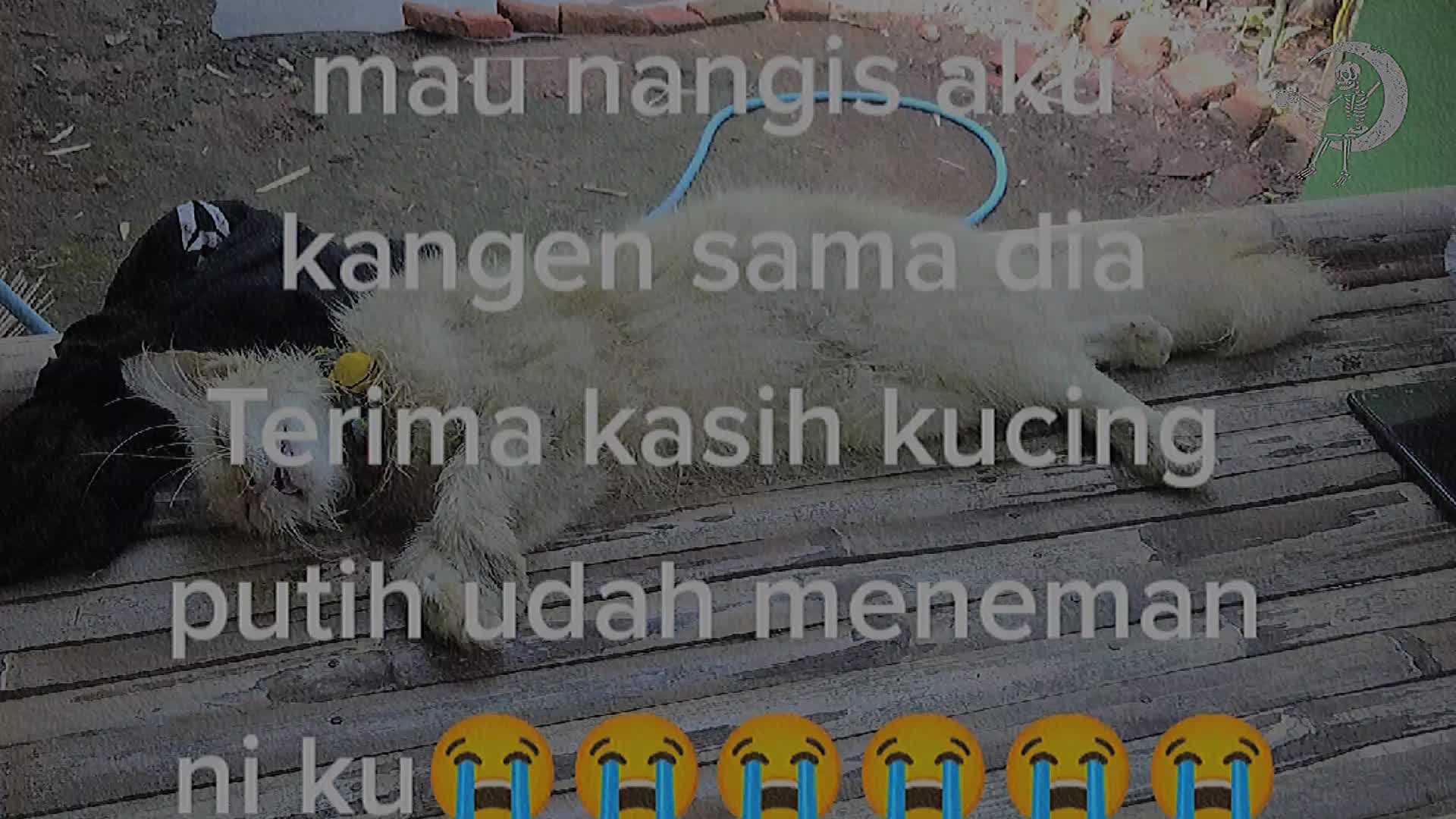 @¿
