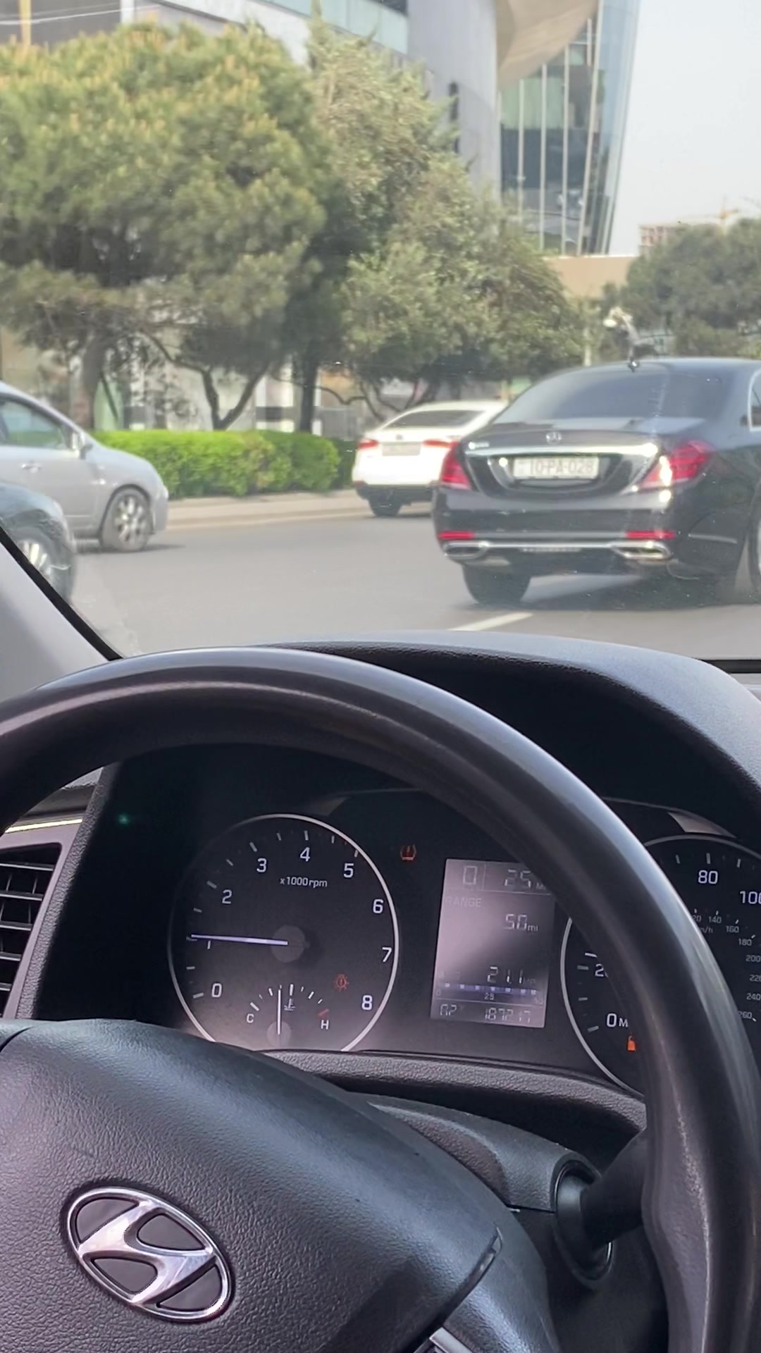 @⚜️اسد بني معروف ⚜️