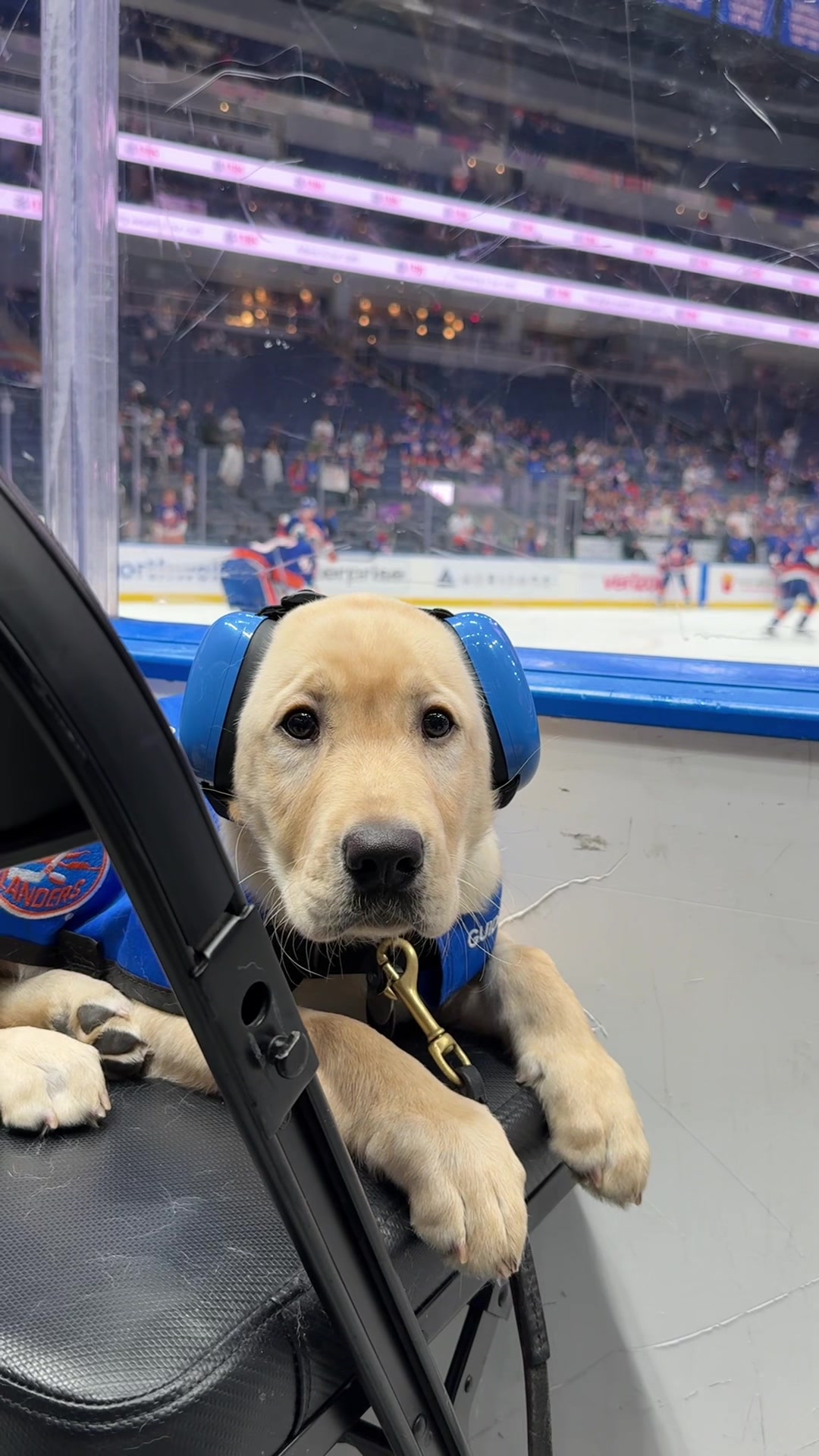 @New York Islanders