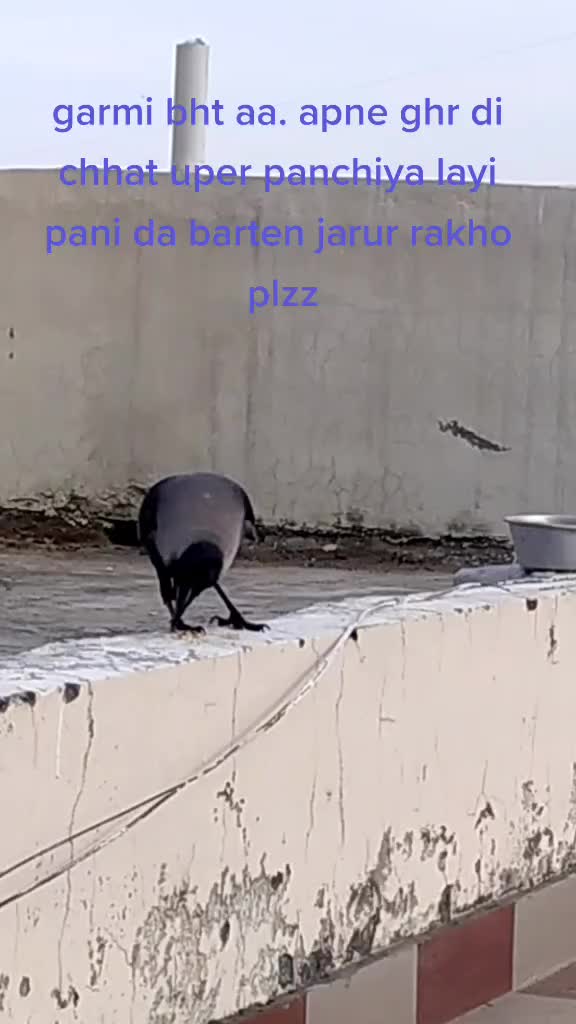 @Mahi
