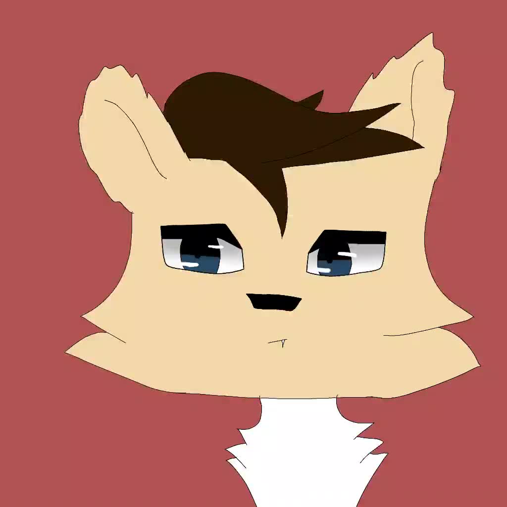 @wolfyeetx
