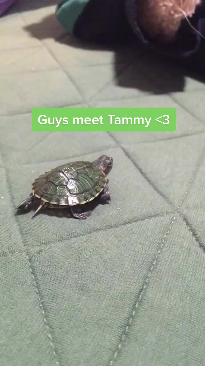 @<33