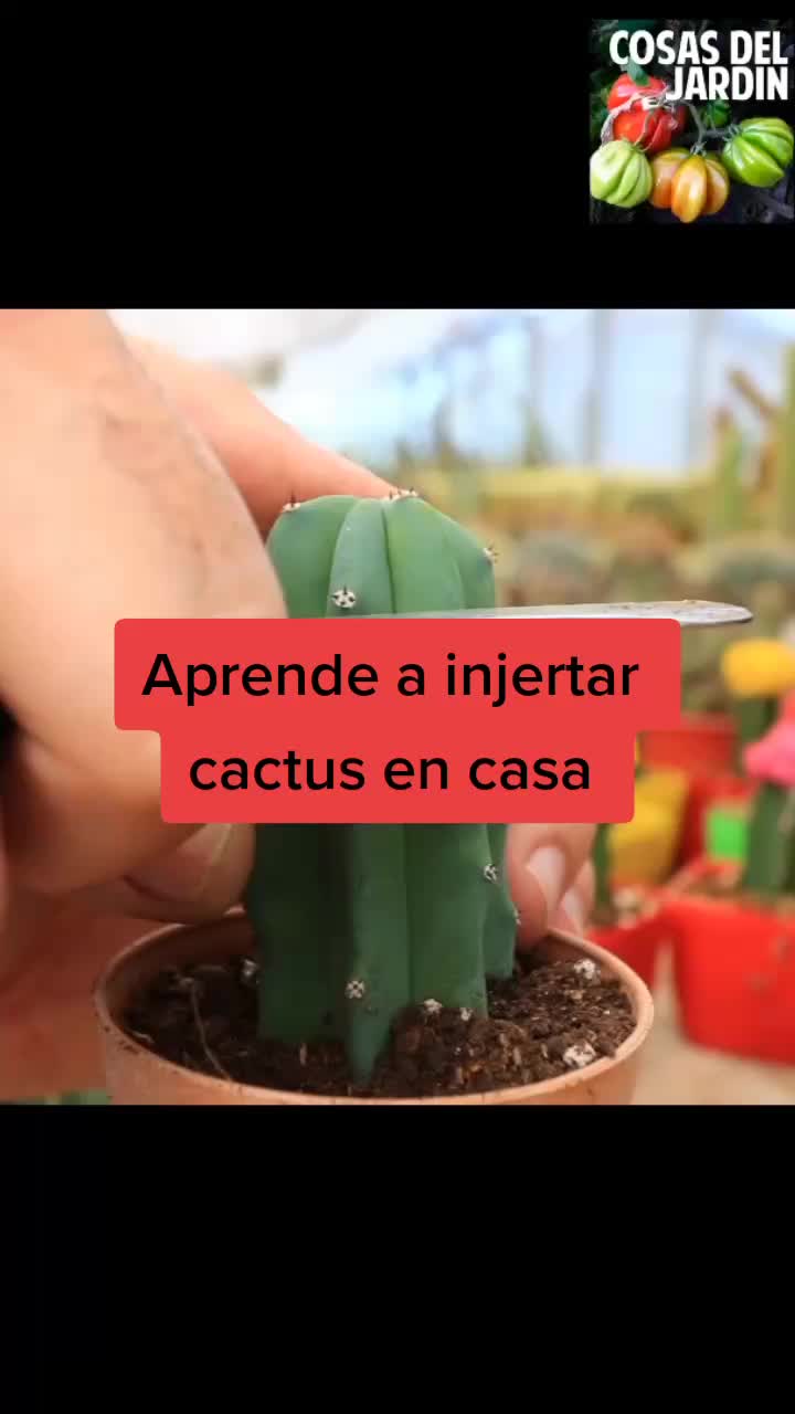 @Pasi&oacute;n a la jardiner&iacute;a🌺💦👈🏼