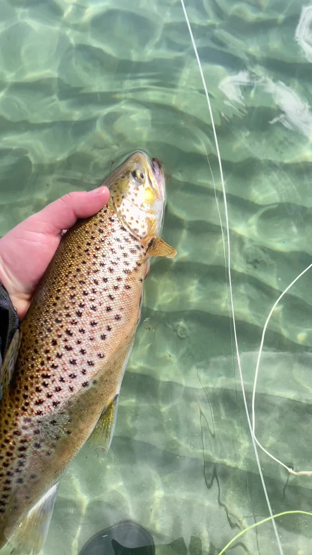 @FishingBySalling - Anders