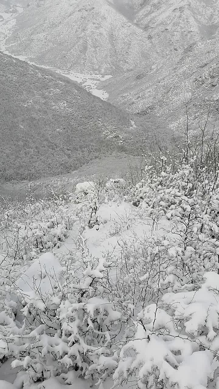 @CEBI SEMKIRISKI 57