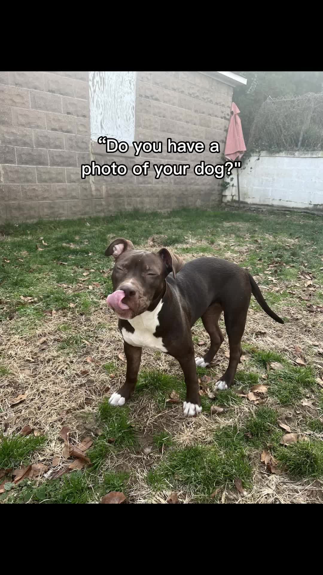 @KG