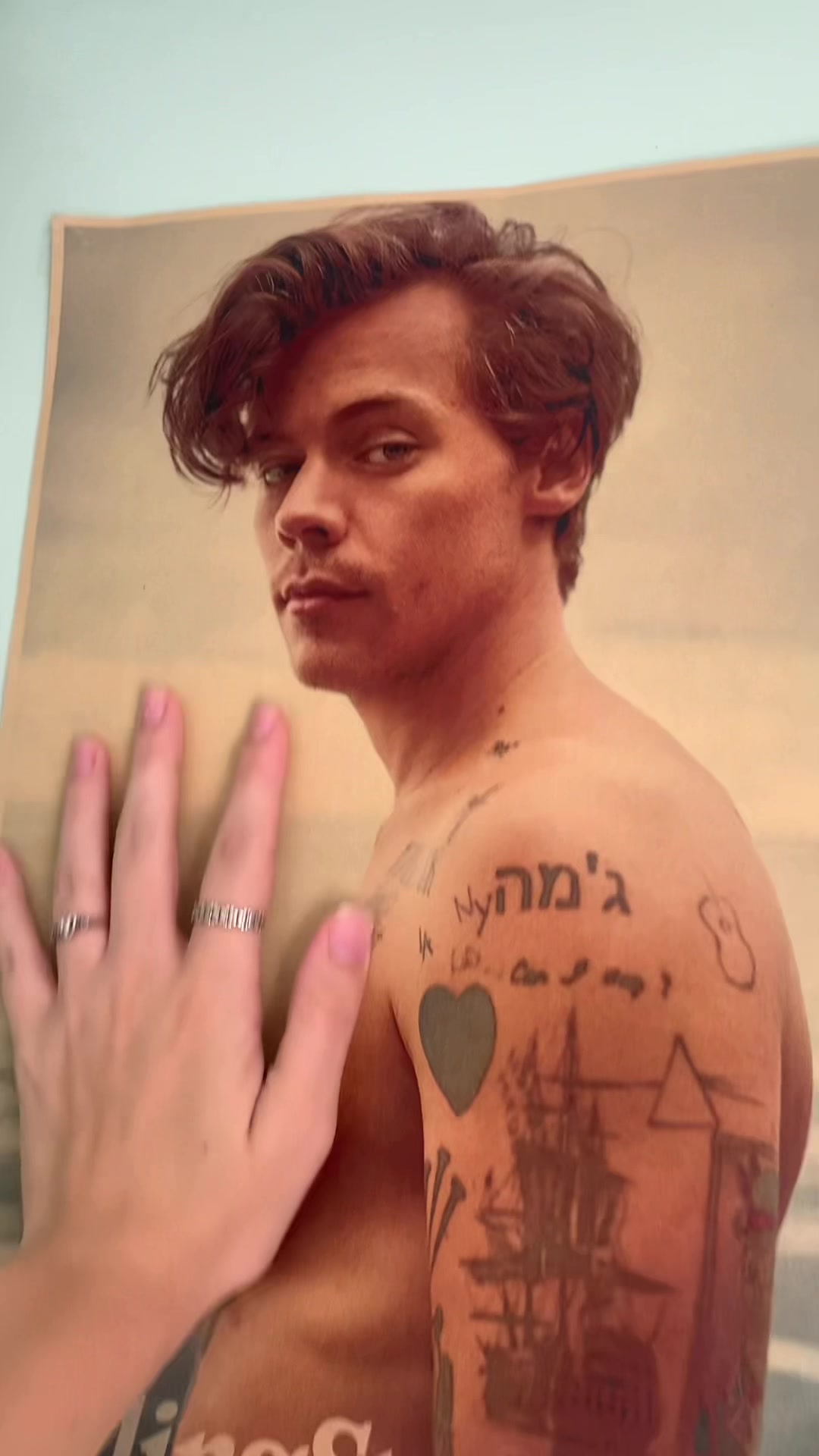 @Harry Slayyyys