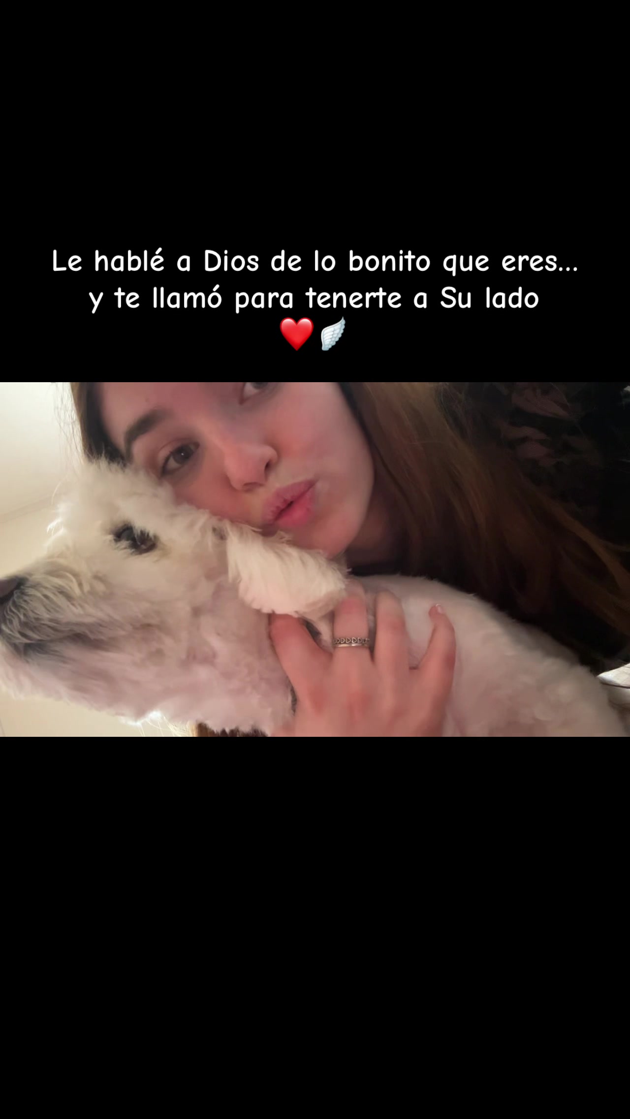 @izabela.gb3