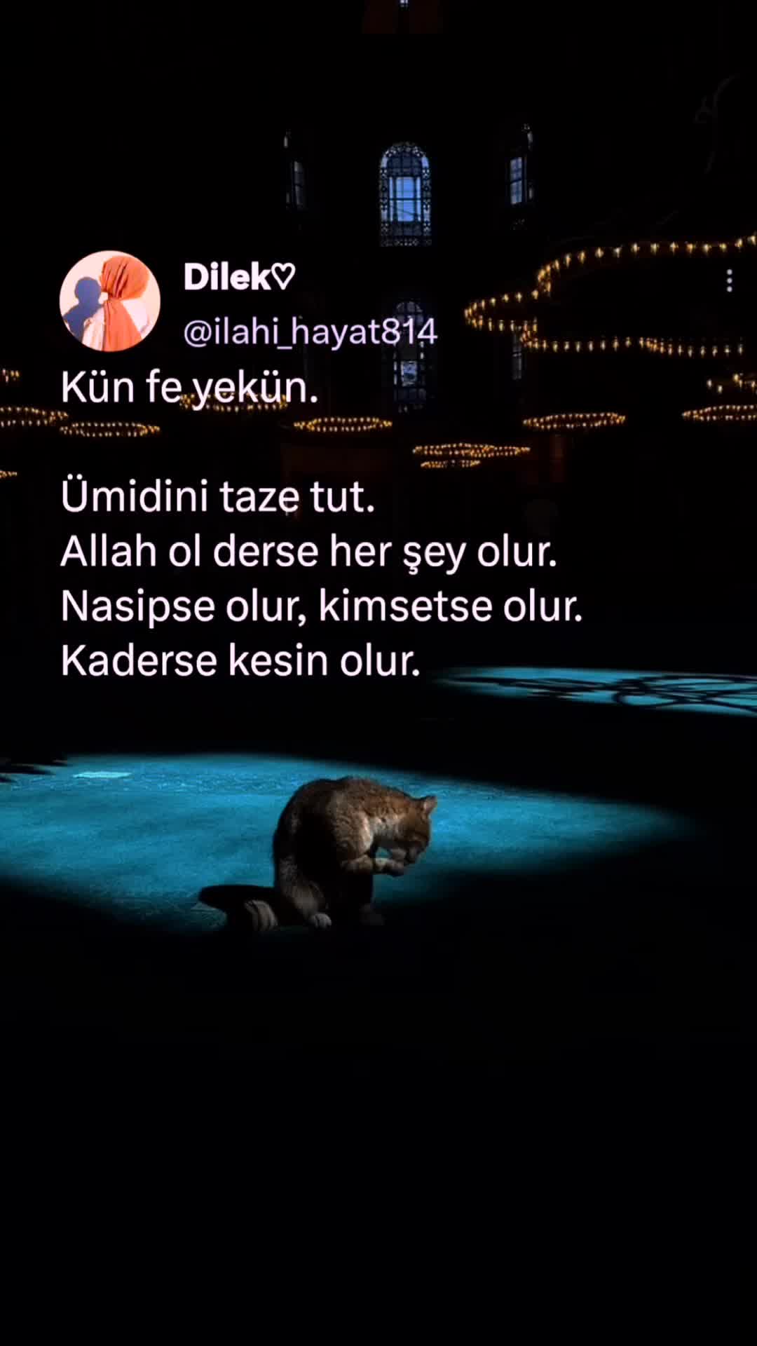 @𝓓𝓲𝓵𝓮𝓴 ♡