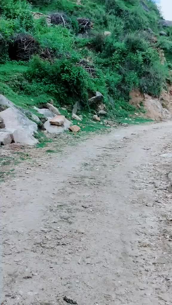 @@sachintichkulay79