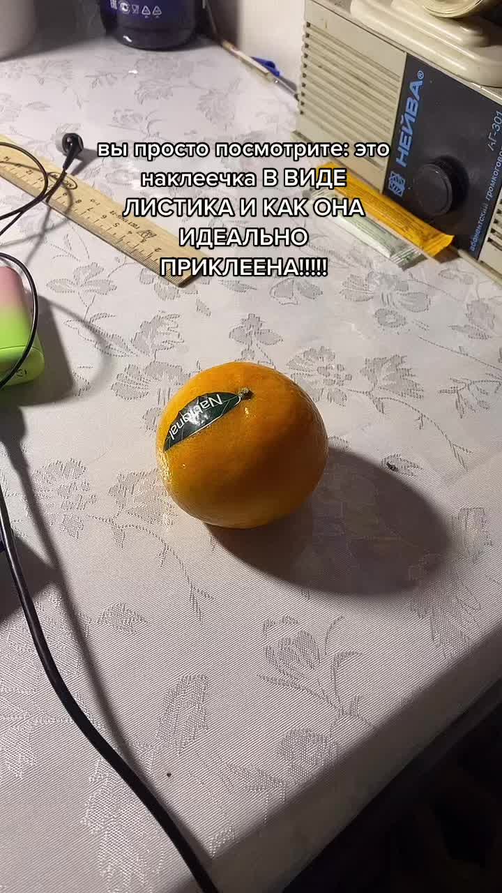 @Лесич