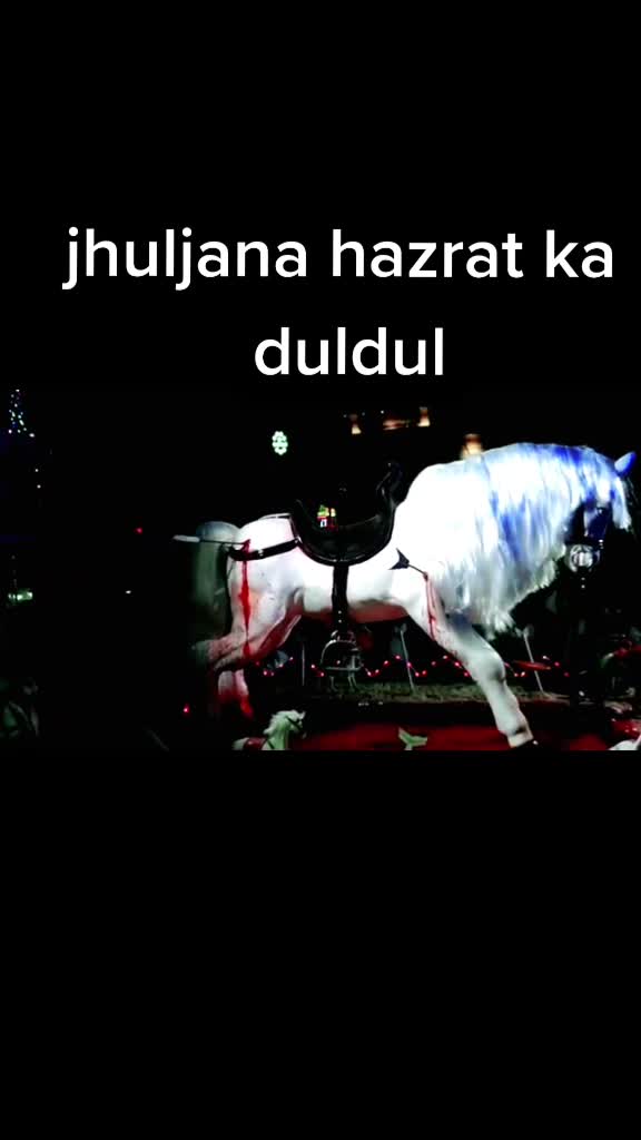 @md alfaz raja