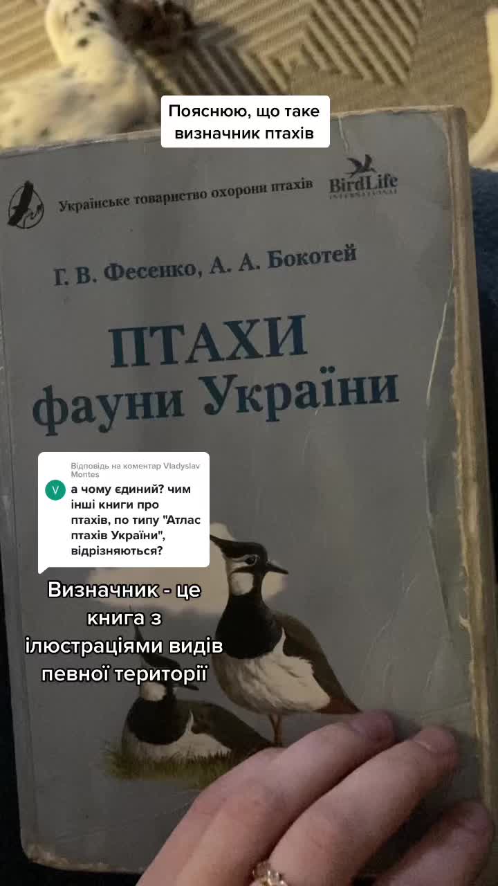 @Птахи, бьордвочинг, орнітолог