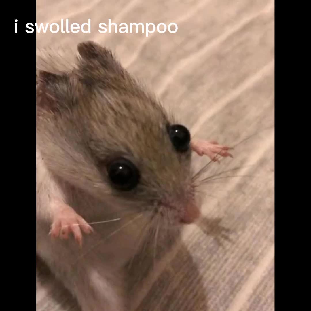 @____