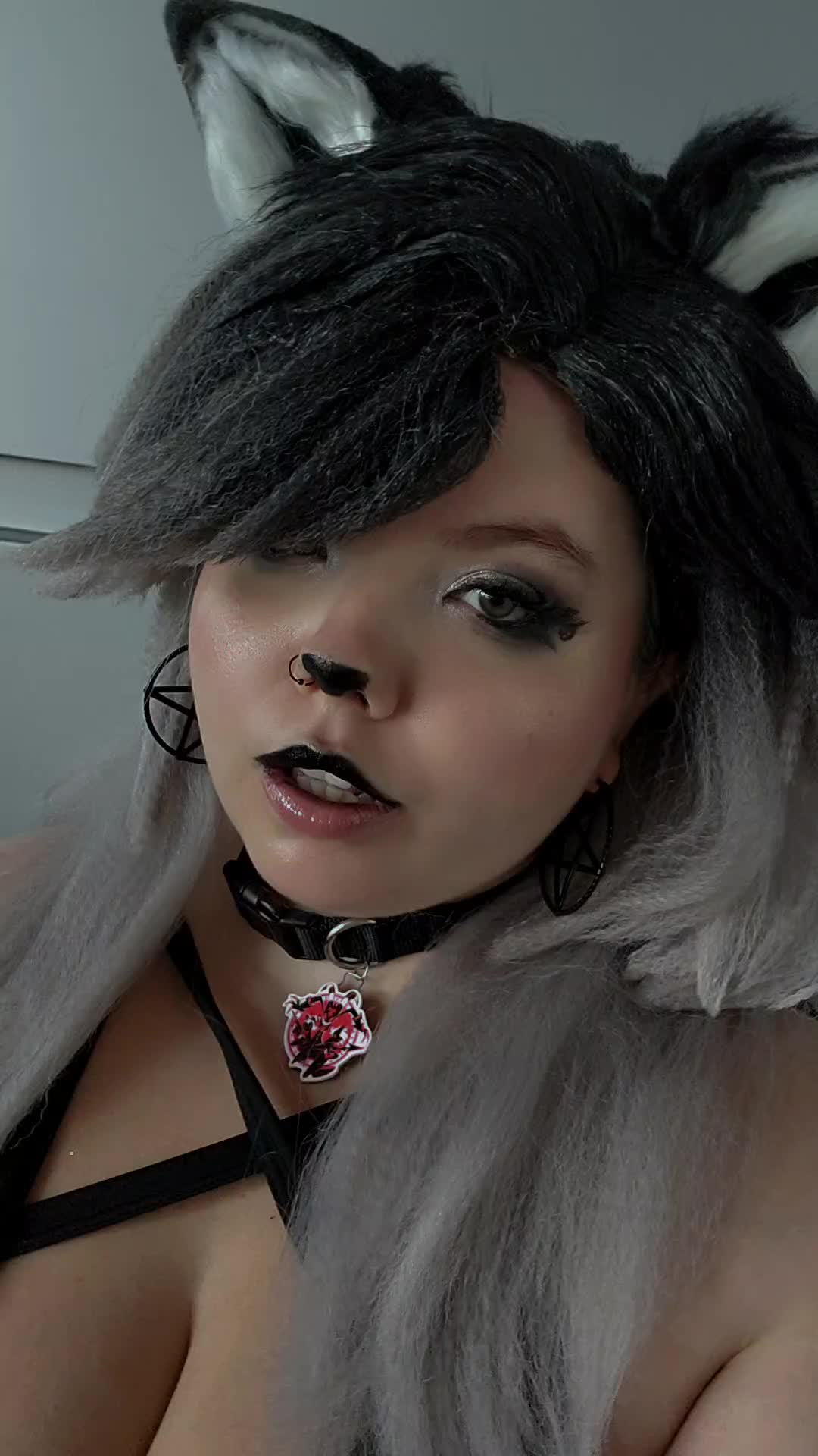 @Lil_Fox_Kit