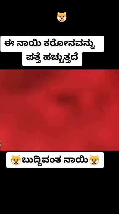 @Girish Bn Gowda