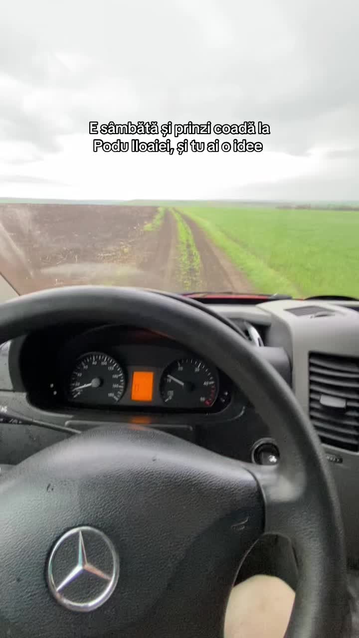 @ionut_i18