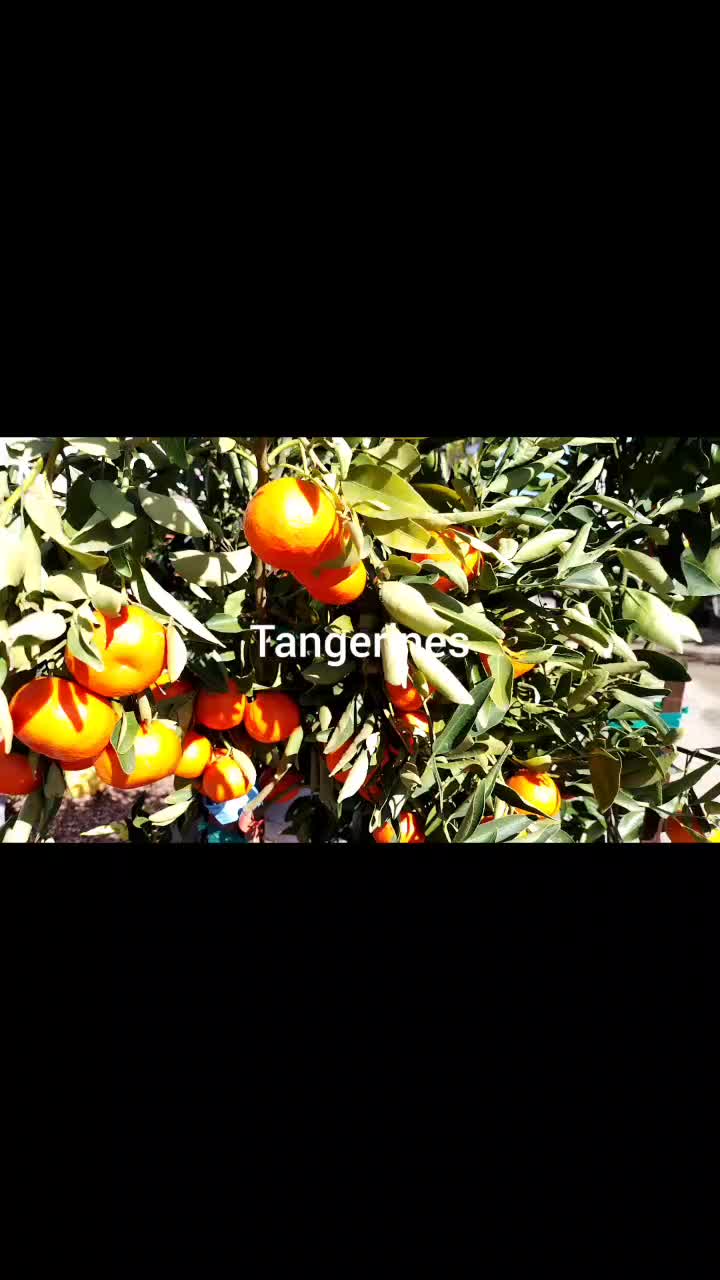 @IngredientBasics