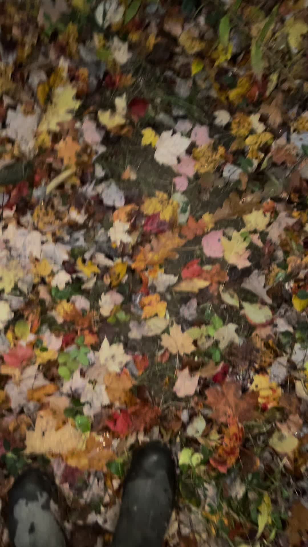 @MenaceOutdoors