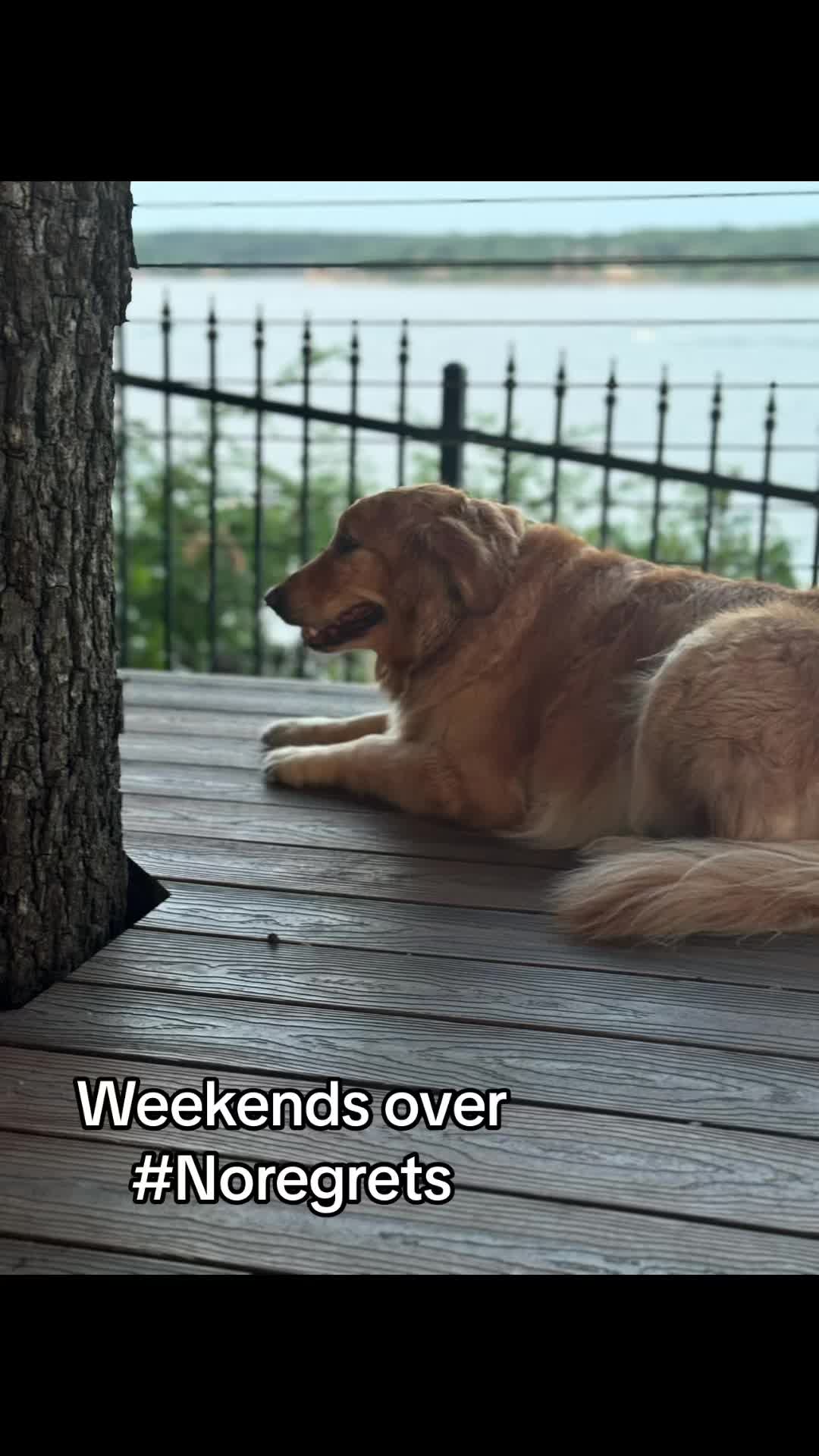 @Spring Morrow