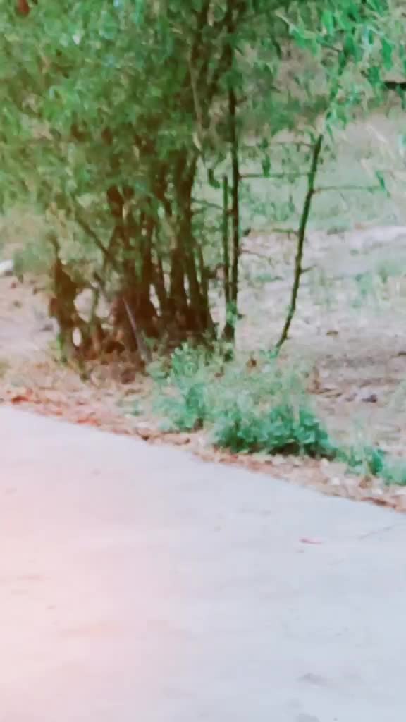 @Rajput Raunak Singh