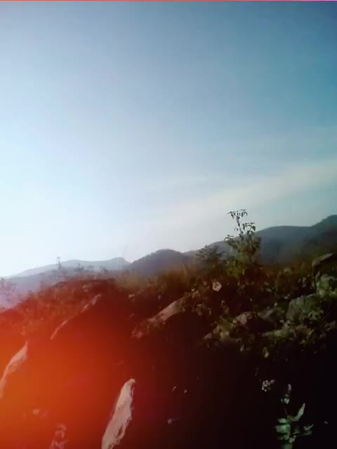 @faizu