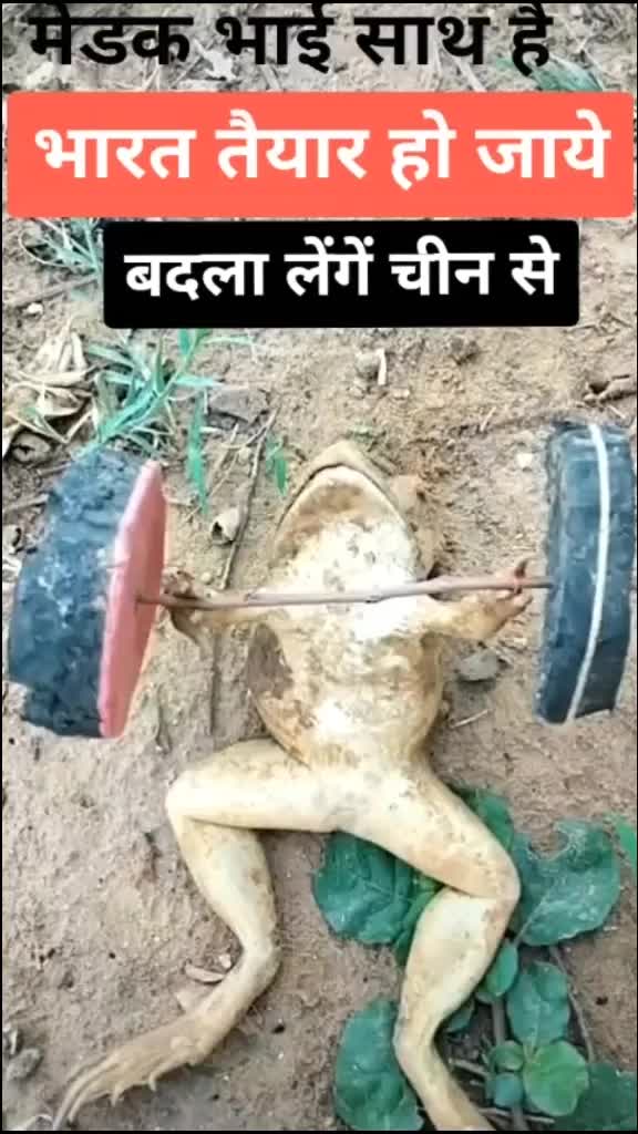 @tiwari_r 👻