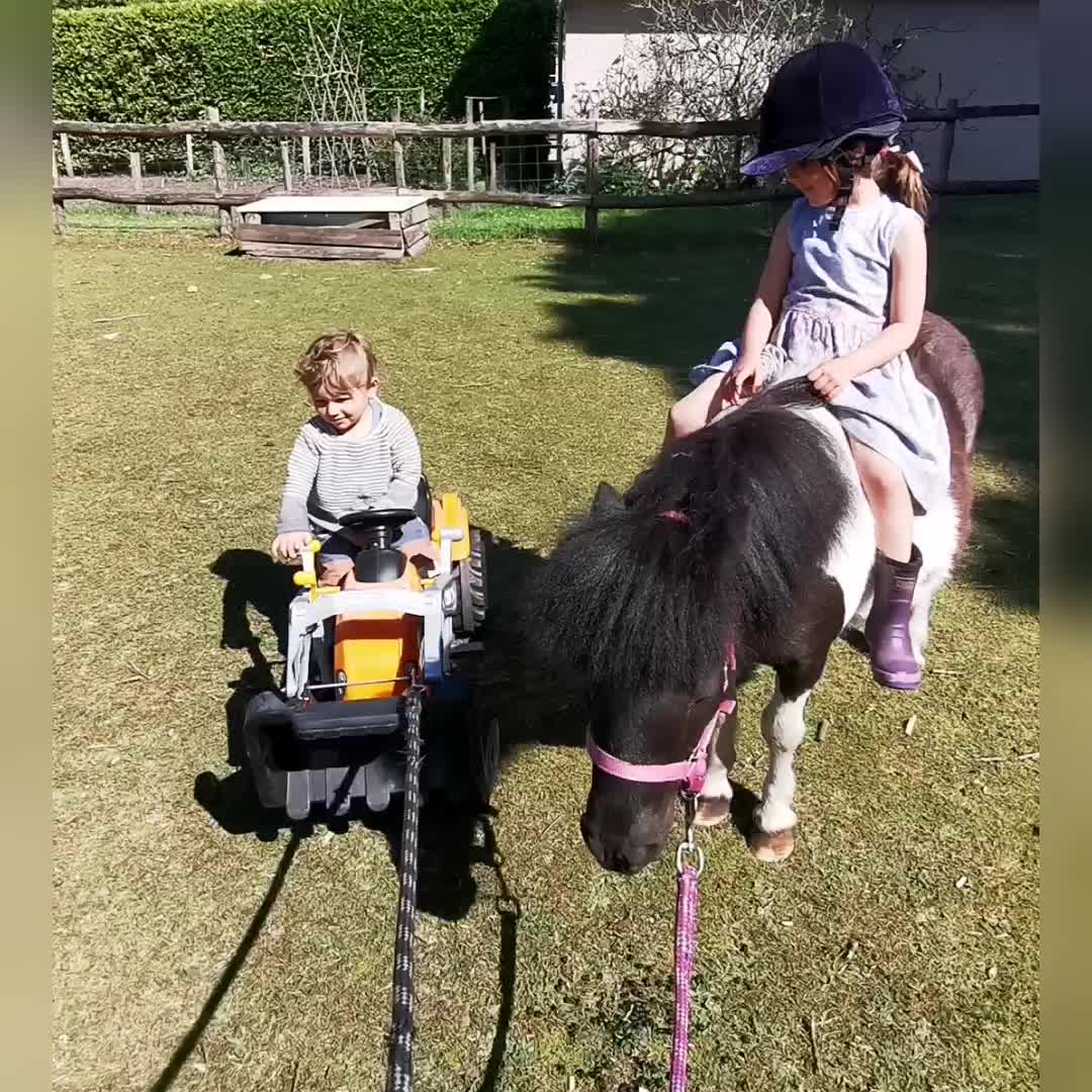 @The Pony Pals Family