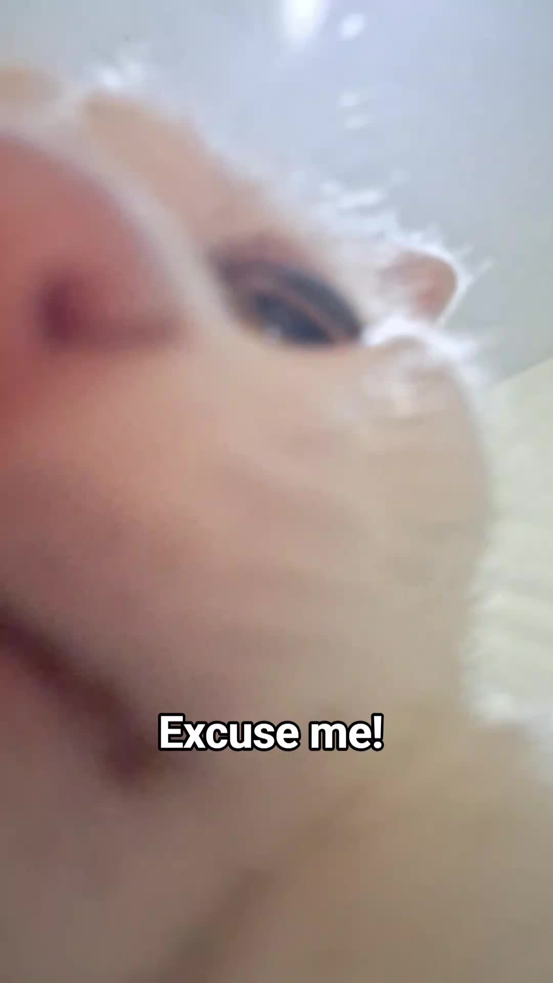 @White cat