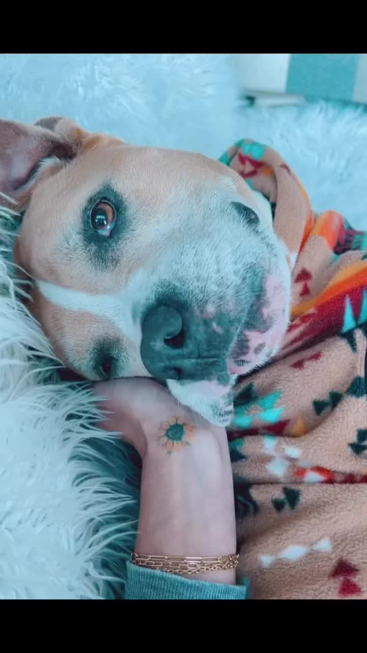 @LilyBug