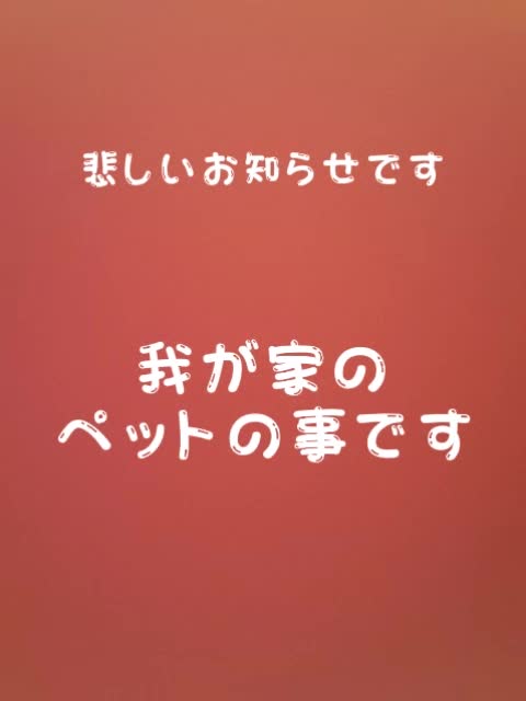@๐่
ๅฅณๅญ๐๐งก๐ค