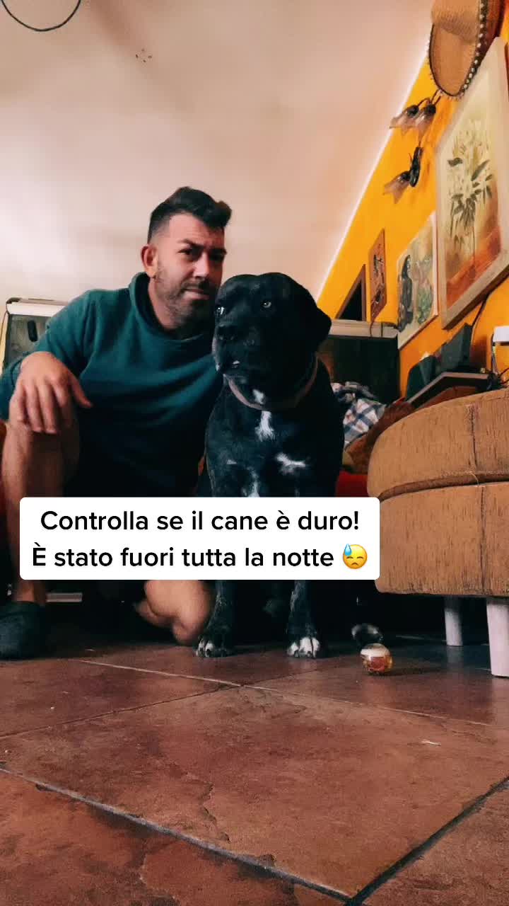 @Adriano