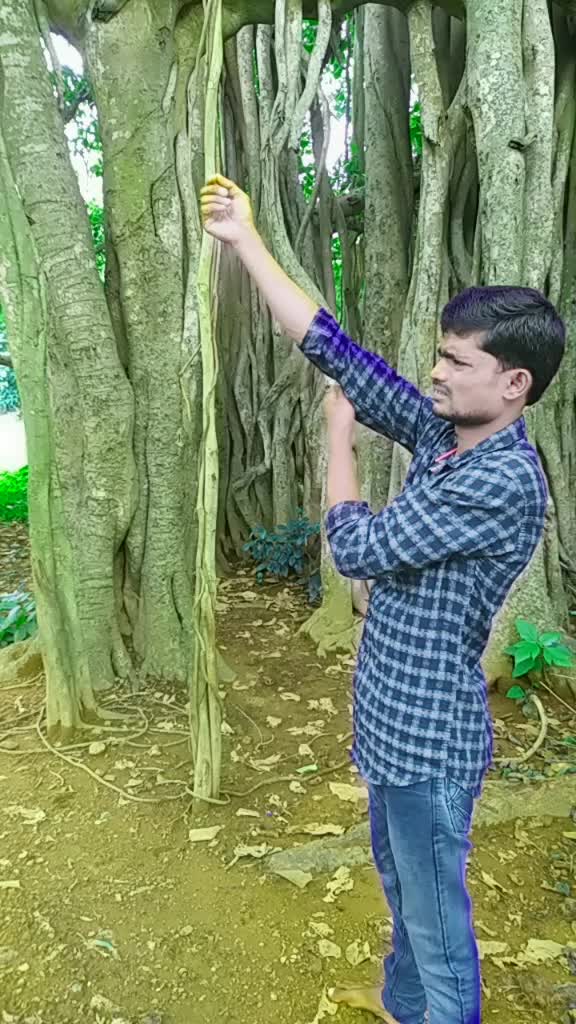 @papu rana