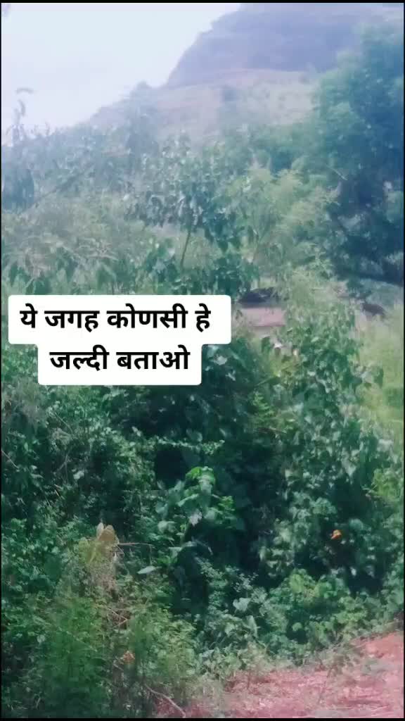 @jeetendra