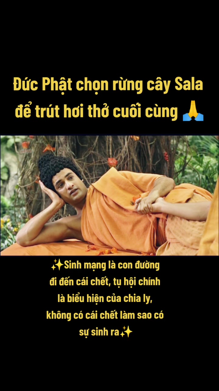 @🍃Theo Bước Chân Phật