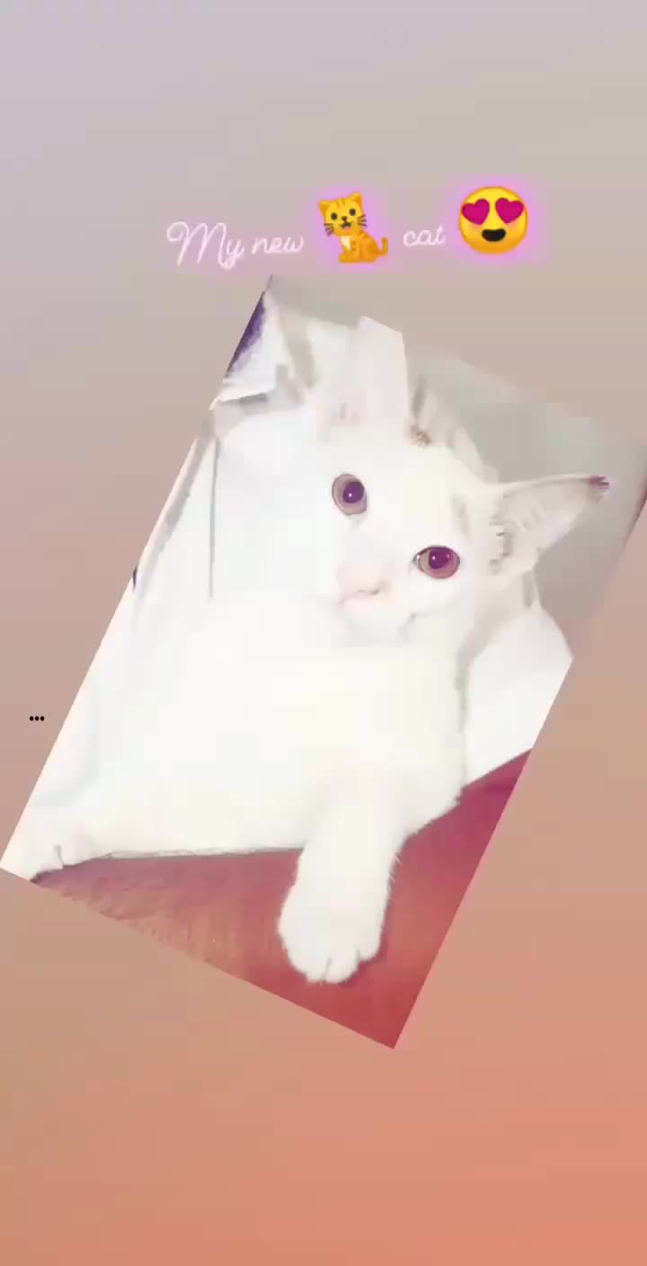 @yogeshpilgar143