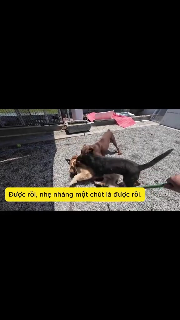 @Dương Anh 22