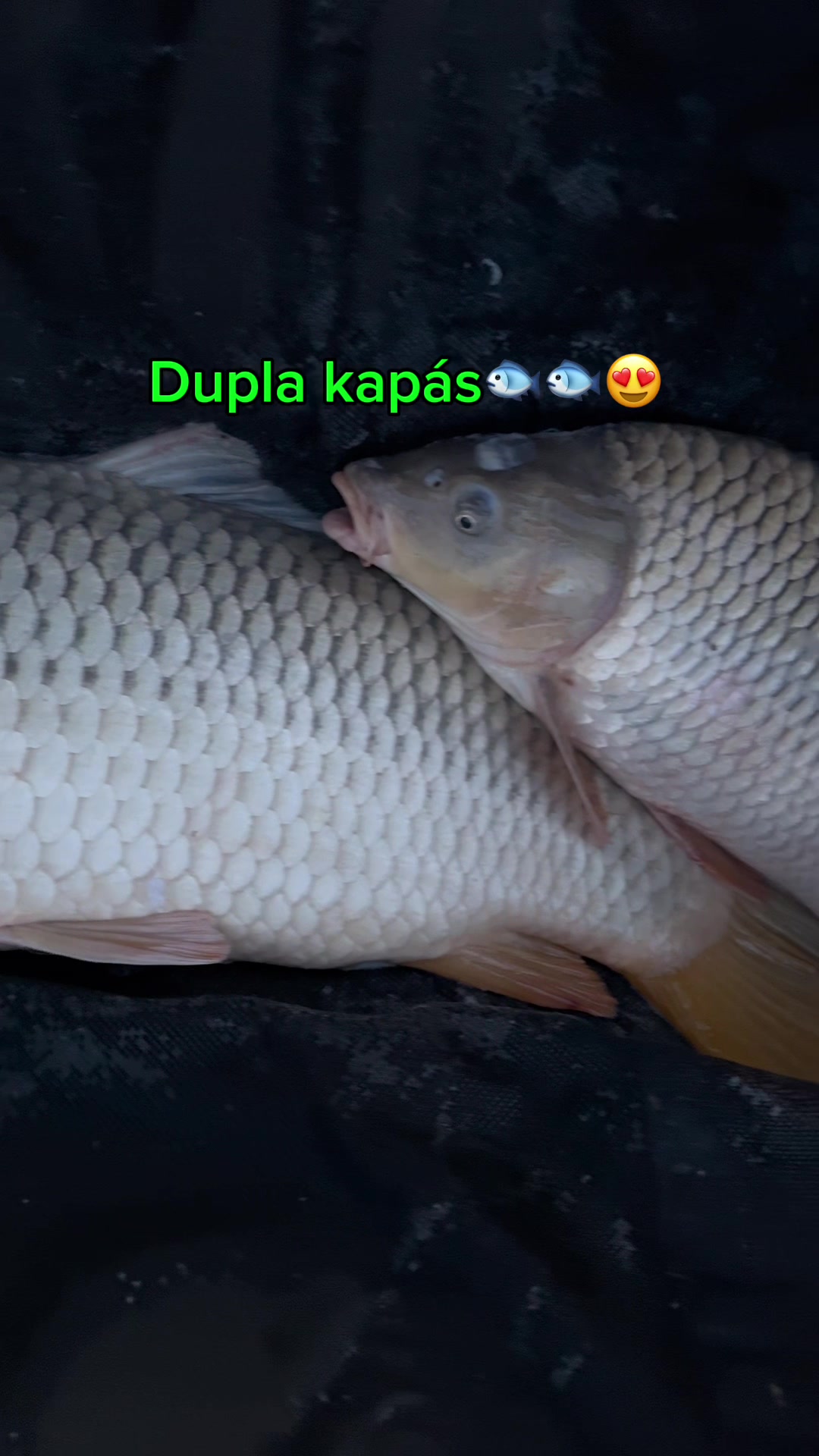 @ValterFishing🐟