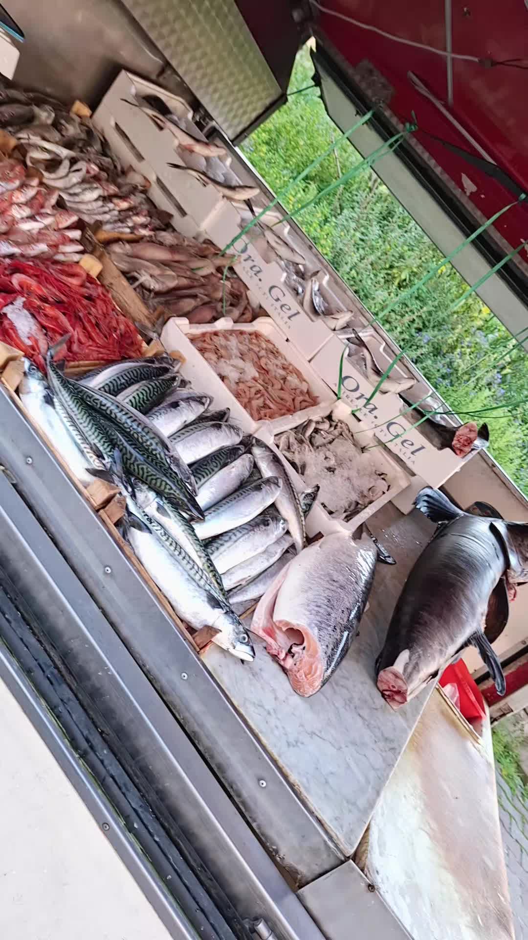 @Pescheria Da Stefano