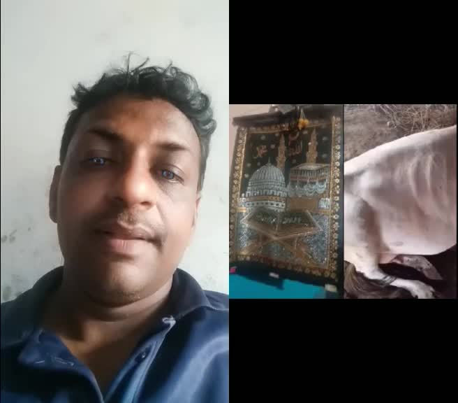 @Shaik Chand57+-