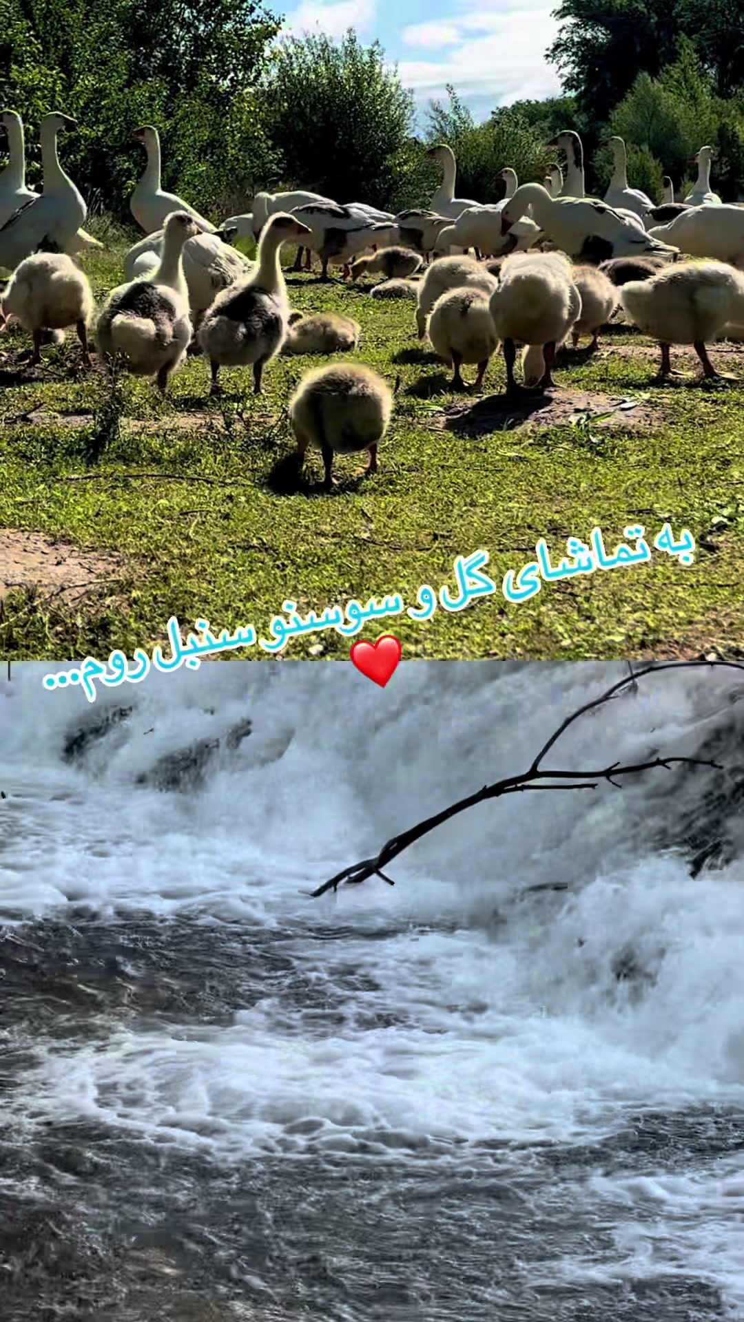 @Bano heidari🇪🇸💛🤍💙