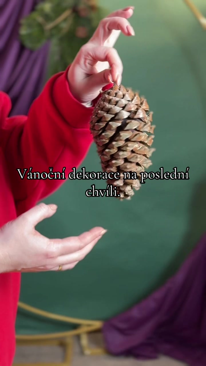 @Olga Čumpel&iacute;k -florist, ekonom