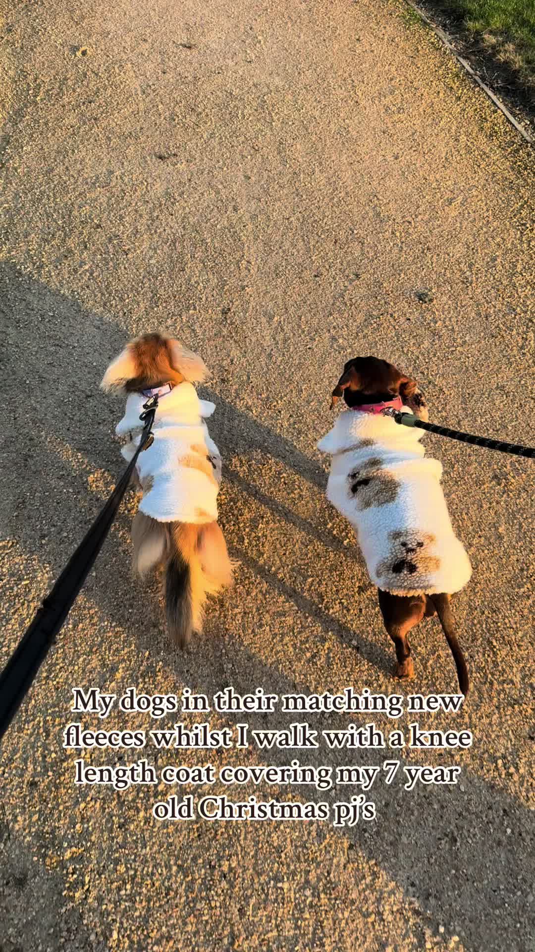 @sausagedogsisters